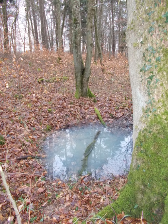 Altitona