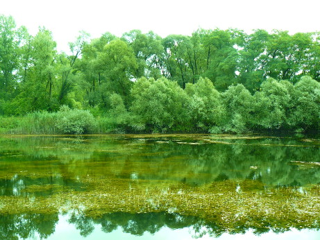 Altitona